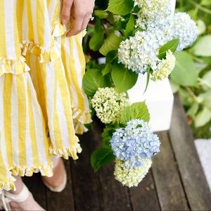 Meet your Posher, Addie!